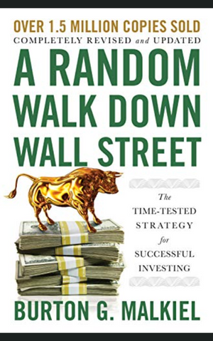 A RANDOM WALK DOWN WALL STREET by BURTON G MALKIEL – TheIndianBookStore